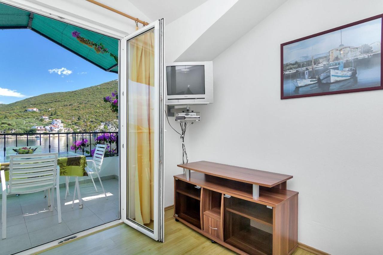 Apartment And Nikola